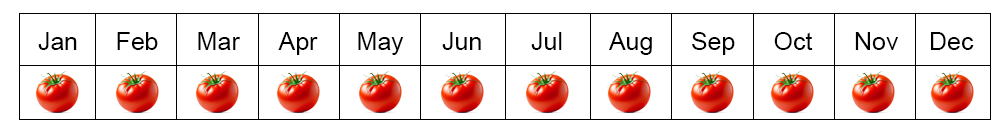 tomatoes seasons in Egypt